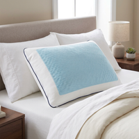 Cooling Comfort huvudkudde med svalkande gel