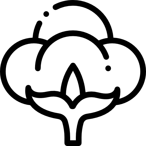 Bomull