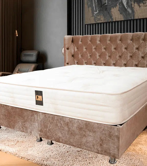Dubai Comfort 4